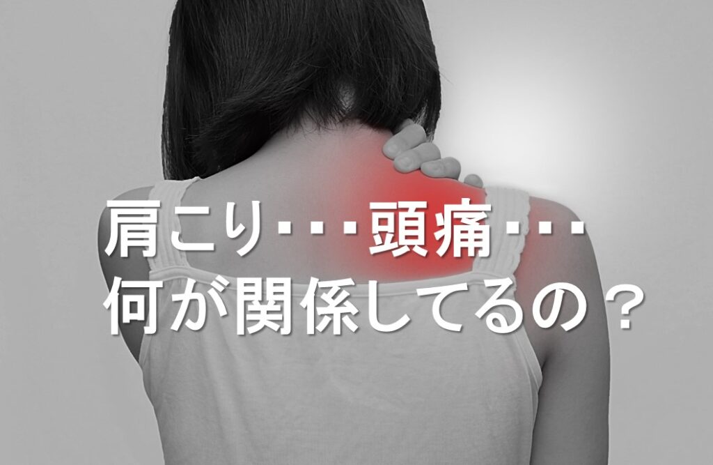 TLBC SAKAI ストレートネック頭痛